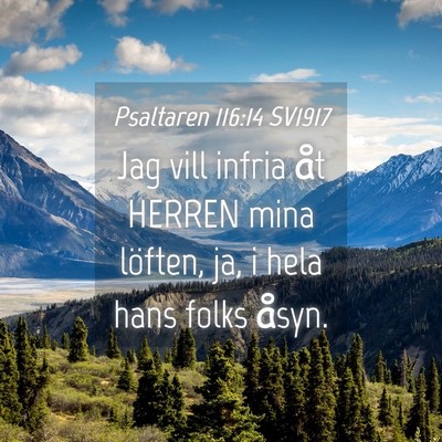 Picture 04 - Psaltaren 116:14 SV1917 - Jag vill infria åt HERREN mina löften, ja, i - Bible Verse Picture
