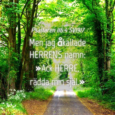 Picture 04 - Psaltaren 116:4 SV1917 - Men jag åkallade HERRENS namn: »Ack HERRE, - Bible Verse Picture