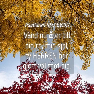 Picture 04 - Psaltaren 116:7 SV1917 - Vänd nu åter till din ro, min själ, ty HERREN - Bible Verse Picture