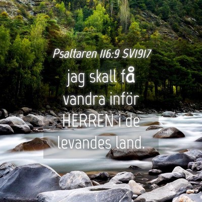 Picture 04 - Psaltaren 116:9 SV1917 - jag skall få vandra inför HERREN i de levandes - Bible Verse Picture
