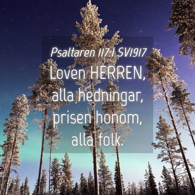 Picture 04 - Psaltaren 117:1 SV1917 - Loven HERREN, alla hedningar, prisen honom, alla - Bible Verse Picture