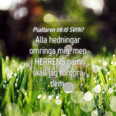 Picture 04 - Psaltaren 118:10 SV1917 - Alla hedningar omringa mig, men i HERRENS namn - Bible Verse Picture