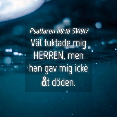 Picture 04 - Psaltaren 118:18 SV1917 - Väl tuktade mig HERREN, men han gav mig icke åt - Bible Verse Picture