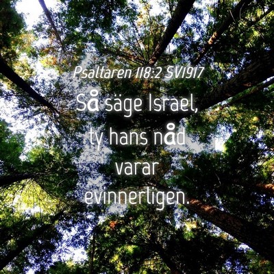 Picture 04 - Psaltaren 118:2 SV1917 - Så säge Israel, ty hans nåd varar - Bible Verse Picture