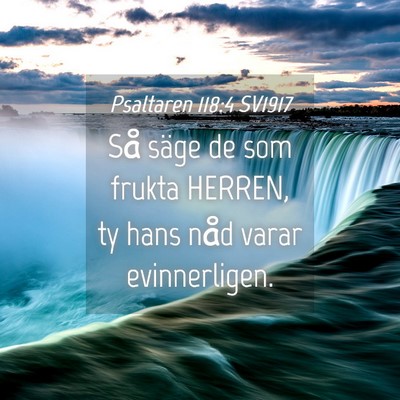 Picture 04 - Psaltaren 118:4 SV1917 - Så säge de som frukta HERREN, ty hans nåd - Bible Verse Picture