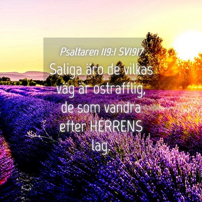 Picture 04 - Psaltaren 119:1 SV1917 - Saliga äro de vilkas väg är ostrafflig, de som - Bible Verse Picture