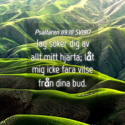 Picture 04 - Psaltaren 119:10 SV1917 - Jag söker dig av allt mitt hjärta; låt mig - Bible Verse Picture