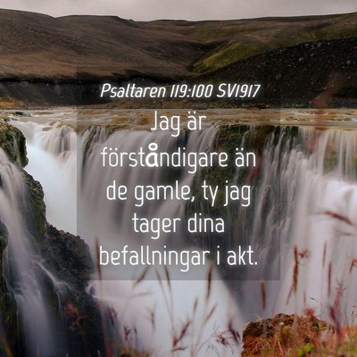 Picture 04 - Psaltaren 119:100 SV1917 - Jag är förståndigare än de gamle, ty jag - Bible Verse Picture