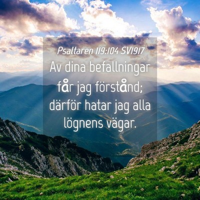 Picture 04 - Psaltaren 119:104 SV1917 - Av dina befallningar får jag förstånd; - Bible Verse Picture