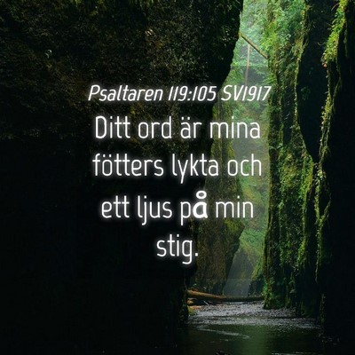Picture 04 - Psaltaren 119:105 SV1917 - Ditt ord är mina fötters lykta och ett ljus på - Bible Verse Picture