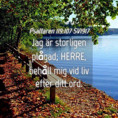 Picture 04 - Psaltaren 119:107 SV1917 - Jag är storligen plågad; HERRE, behåll mig vid - Bible Verse Picture