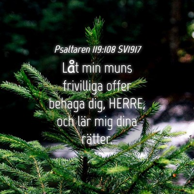 Picture 04 - Psaltaren 119:108 SV1917 - Låt min muns frivilliga offer behaga dig, HERRE, - Bible Verse Picture