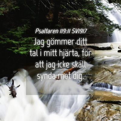 Picture 04 - Psaltaren 119:11 SV1917 - Jag gömmer ditt tal i mitt hjärta, för att jag - Bible Verse Picture