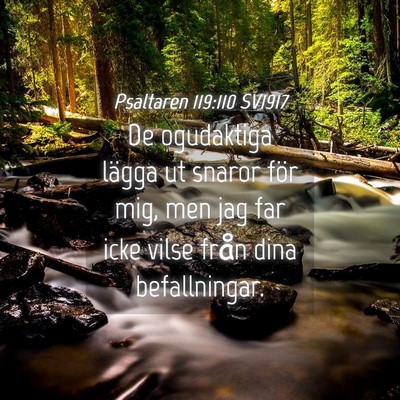 Picture 04 - Psaltaren 119:110 SV1917 - De ogudaktiga lägga ut snaror för mig, men jag - Bible Verse Picture