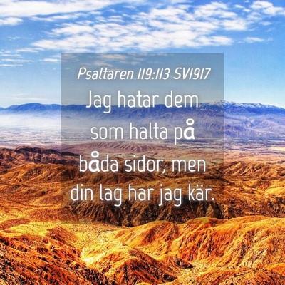 Picture 04 - Psaltaren 119:113 SV1917 - Jag hatar dem som halta på båda sidor, men din - Bible Verse Picture