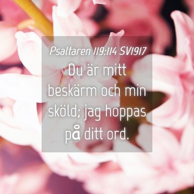 Picture 04 - Psaltaren 119:114 SV1917 - Du är mitt beskärm och min sköld; jag hoppas - Bible Verse Picture