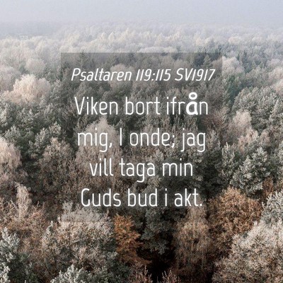 Picture 04 - Psaltaren 119:115 SV1917 - Viken bort ifrån mig, I onde; jag vill taga min - Bible Verse Picture