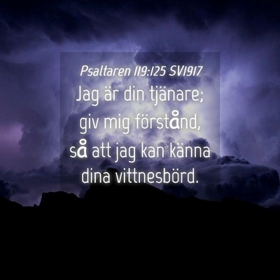 Picture 04 - Psaltaren 119:125 SV1917 - Jag är din tjänare; giv mig förstånd, så att - Bible Verse Picture