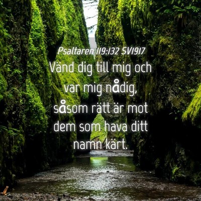 Picture 04 - Psaltaren 119:132 SV1917 - Vänd dig till mig och var mig nådig, såsom - Bible Verse Picture