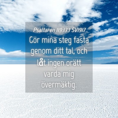 Picture 04 - Psaltaren 119:133 SV1917 - Gör mina steg fasta genom ditt tal, och låt - Bible Verse Picture