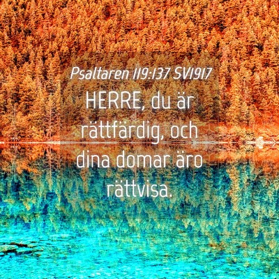 Picture 04 - Psaltaren 119:137 SV1917 - HERRE, du är rättfärdig, och dina domar äro - Bible Verse Picture