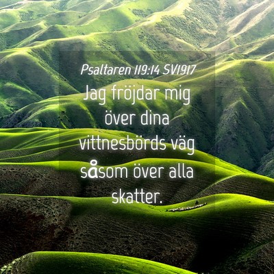 Picture 04 - Psaltaren 119:14 SV1917 - Jag fröjdar mig över dina vittnesbörds väg - Bible Verse Picture