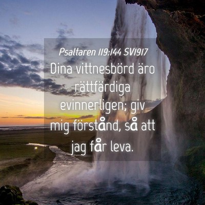 Picture 04 - Psaltaren 119:144 SV1917 - Dina vittnesbörd äro rättfärdiga - Bible Verse Picture