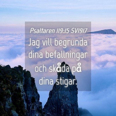 Picture 04 - Psaltaren 119:15 SV1917 - Jag vill begrunda dina befallningar och skåda - Bible Verse Picture