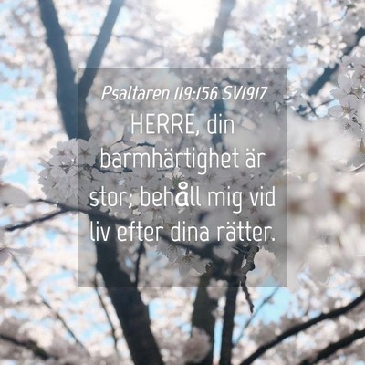 Picture 04 - Psaltaren 119:156 SV1917 - HERRE, din barmhärtighet är stor; behåll mig - Bible Verse Picture