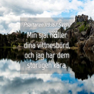 Picture 04 - Psaltaren 119:167 SV1917 - Min själ håller dina vittnesbörd, och jag har - Bible Verse Picture