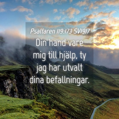 Picture 04 - Psaltaren 119:173 SV1917 - Din hand vare mig till hjälp, ty jag har utvalt - Bible Verse Picture