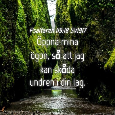 Picture 04 - Psaltaren 119:18 SV1917 - Öppna mina ögon, så att jag kan skåda undren - Bible Verse Picture