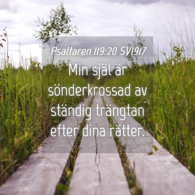 Picture 04 - Psaltaren 119:20 SV1917 - Min själ är sönderkrossad av ständig - Bible Verse Picture