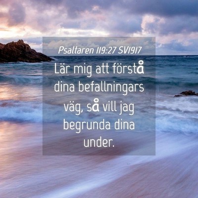 Picture 04 - Psaltaren 119:27 SV1917 - Lär mig att förstå dina befallningars väg, - Bible Verse Picture