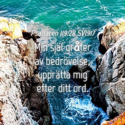 Picture 04 - Psaltaren 119:28 SV1917 - Min själ gråter av bedrövelse; upprätta mig - Bible Verse Picture