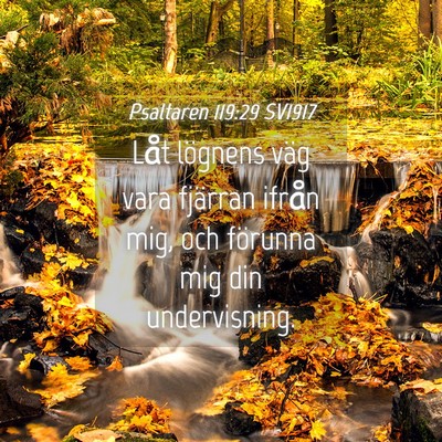 Picture 04 - Psaltaren 119:29 SV1917 - Låt lögnens väg vara fjärran ifrån mig, och - Bible Verse Picture