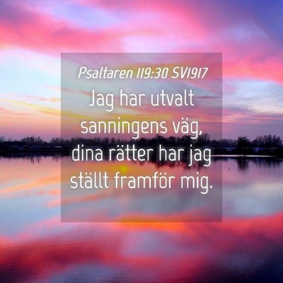 Picture 04 - Psaltaren 119:30 SV1917 - Jag har utvalt sanningens väg, dina rätter har - Bible Verse Picture