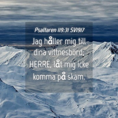 Picture 04 - Psaltaren 119:31 SV1917 - Jag håller mig till dina vittnesbörd; HERRE, - Bible Verse Picture
