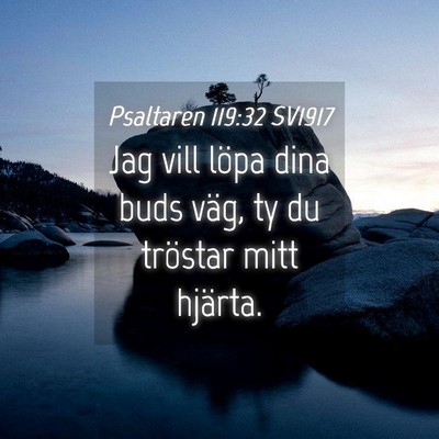 Picture 04 - Psaltaren 119:32 SV1917 - Jag vill löpa dina buds väg, ty du tröstar - Bible Verse Picture
