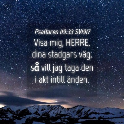 Picture 04 - Psaltaren 119:33 SV1917 - Visa mig, HERRE, dina stadgars väg, så vill jag - Bible Verse Picture