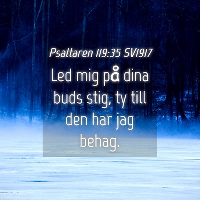 Picture 04 - Psaltaren 119:35 SV1917 - Led mig på dina buds stig, ty till den har jag - Bible Verse Picture