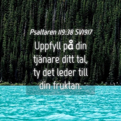Picture 04 - Psaltaren 119:38 SV1917 - Uppfyll på din tjänare ditt tal, ty det leder - Bible Verse Picture