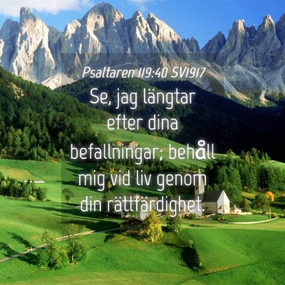Picture 04 - Psaltaren 119:40 SV1917 - Se, jag längtar efter dina befallningar; behåll - Bible Verse Picture