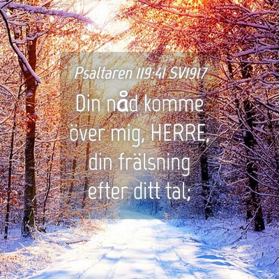 Picture 04 - Psaltaren 119:41 SV1917 - Din nåd komme över mig, HERRE, din frälsning - Bible Verse Picture