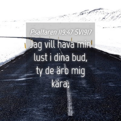 Picture 04 - Psaltaren 119:47 SV1917 - Jag vill hava min lust i dina bud, ty de äro mig - Bible Verse Picture