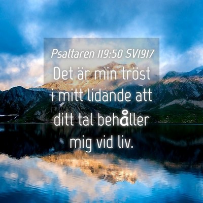 Picture 04 - Psaltaren 119:50 SV1917 - Det är min tröst i mitt lidande att ditt tal - Bible Verse Picture