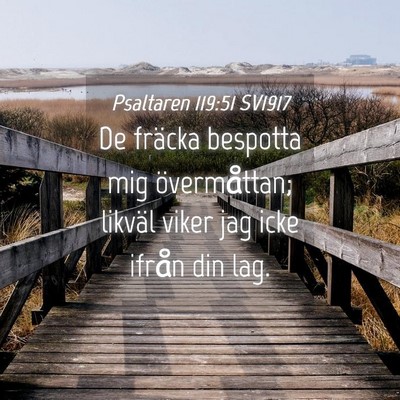Picture 04 - Psaltaren 119:51 SV1917 - De fräcka bespotta mig övermåttan; likväl - Bible Verse Picture