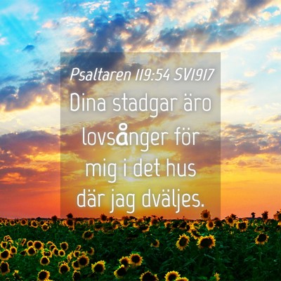 Picture 04 - Psaltaren 119:54 SV1917 - Dina stadgar äro lovsånger för mig i det hus - Bible Verse Picture