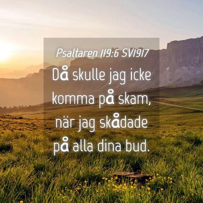 Picture 04 - Psaltaren 119:6 SV1917 - Då skulle jag icke komma på skam, när jag - Bible Verse Picture