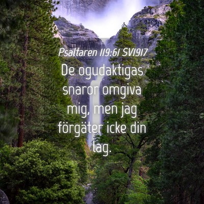 Picture 04 - Psaltaren 119:61 SV1917 - De ogudaktigas snaror omgiva mig, men jag - Bible Verse Picture